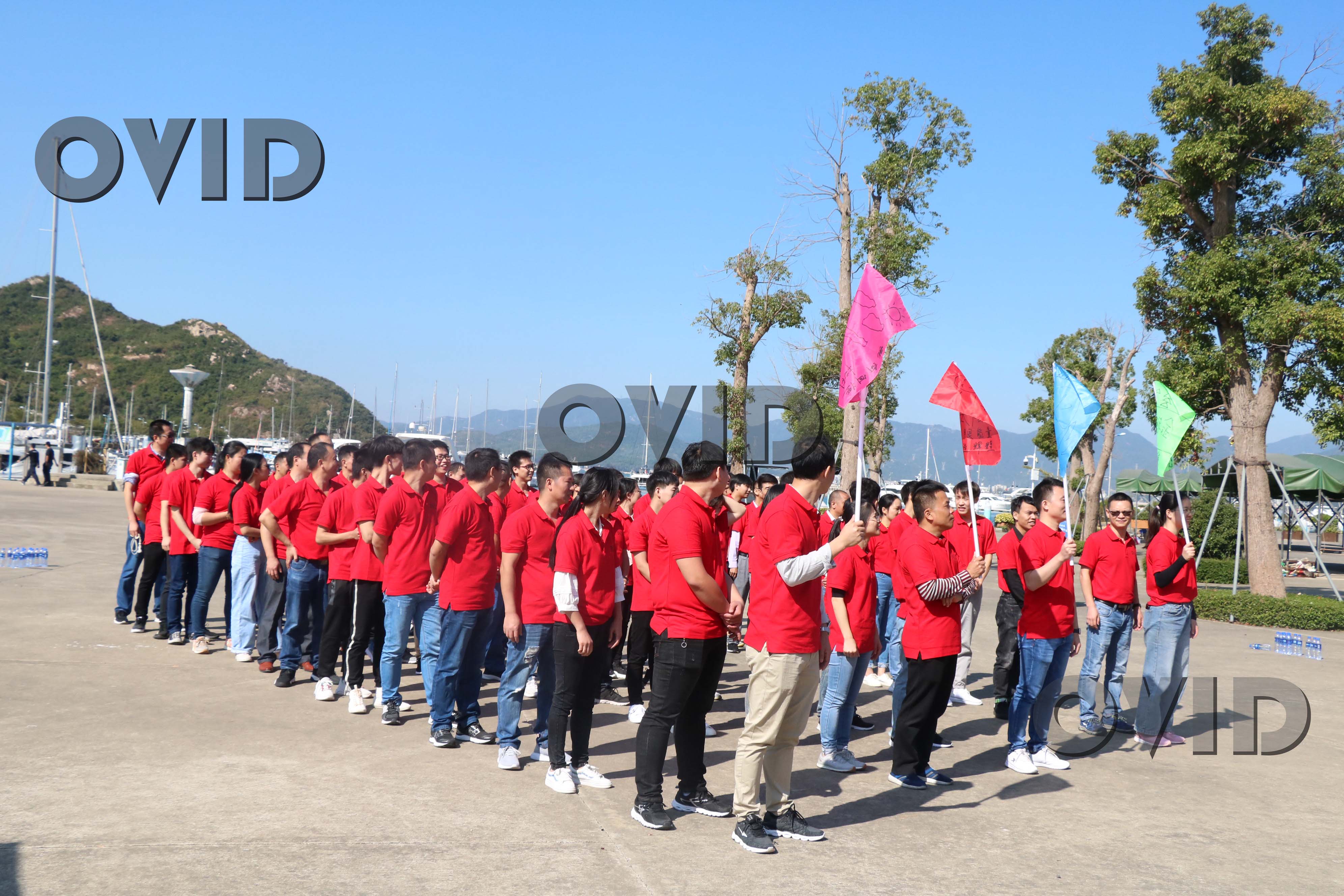 公司员工集体出游